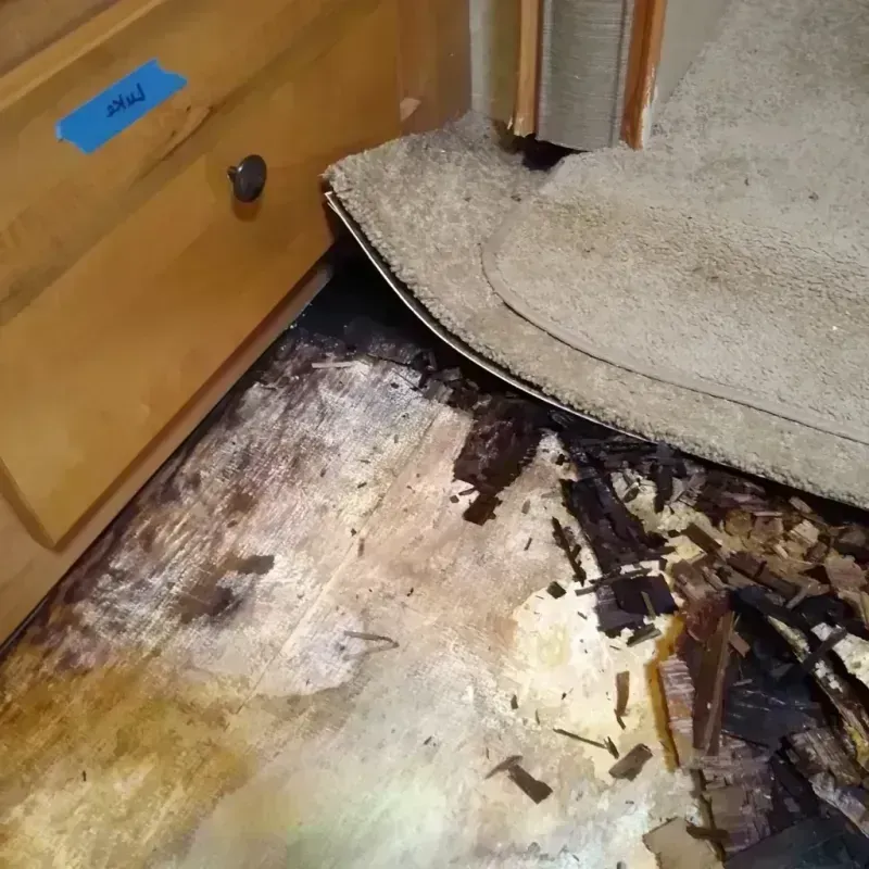 Wood Floor Water Damage in Ship Bottom, NJ